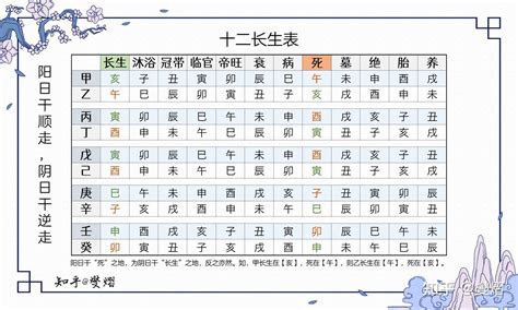 十二长生诀|十二长生